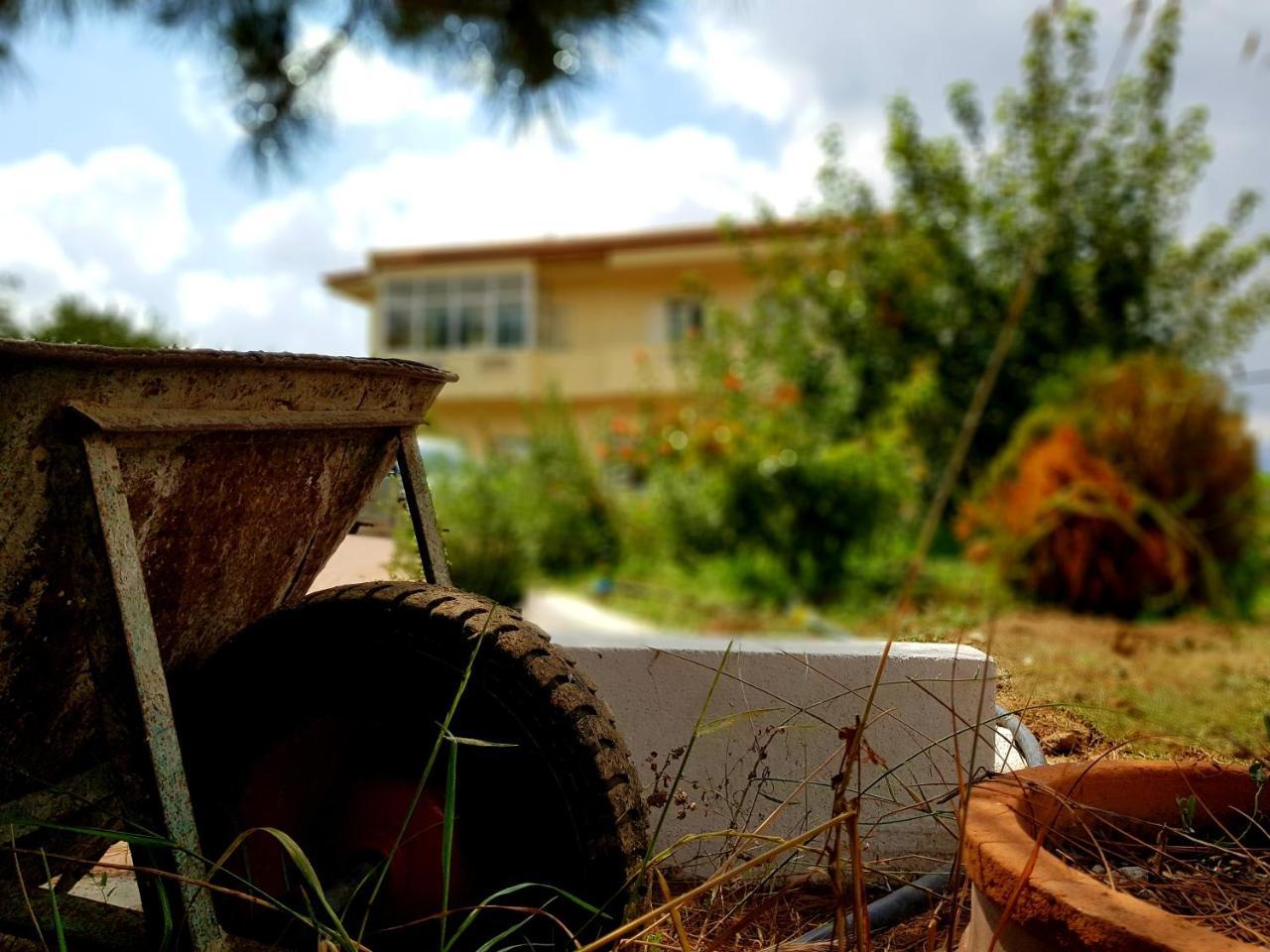 Maison Kronio Lassithi Plateau Marmaketon Exterior foto